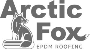 Arctic Fox